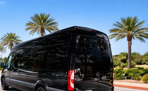 Large Passenger Van Shuttle MCO to Port Canaveral